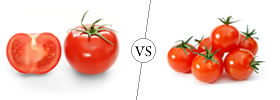 Tomatoes vs Cherry Tomatoes
